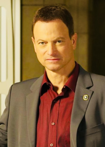 Gary Sinise as Detective Mac Taylor
